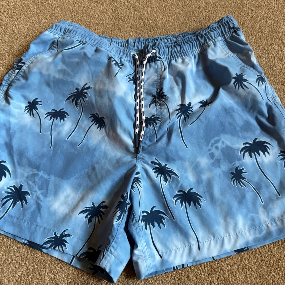 American Eagle Outfitters Swim Trunks 5 inch inseam medium